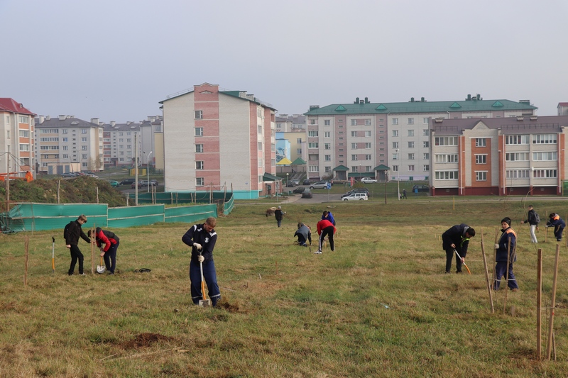 На Новогрудчине продолжается экологическая кампания «Обустроим малую родину»