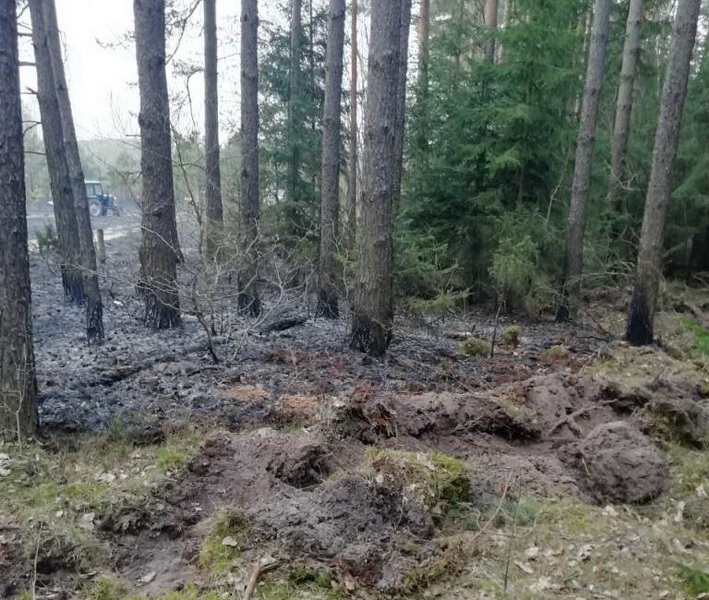 На территории Петревичского сельсовета произошло три пожара в лесных массивах