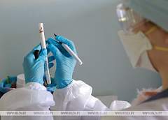 В Беларуси проведено более 81 тыс. тестов на коронавирус
