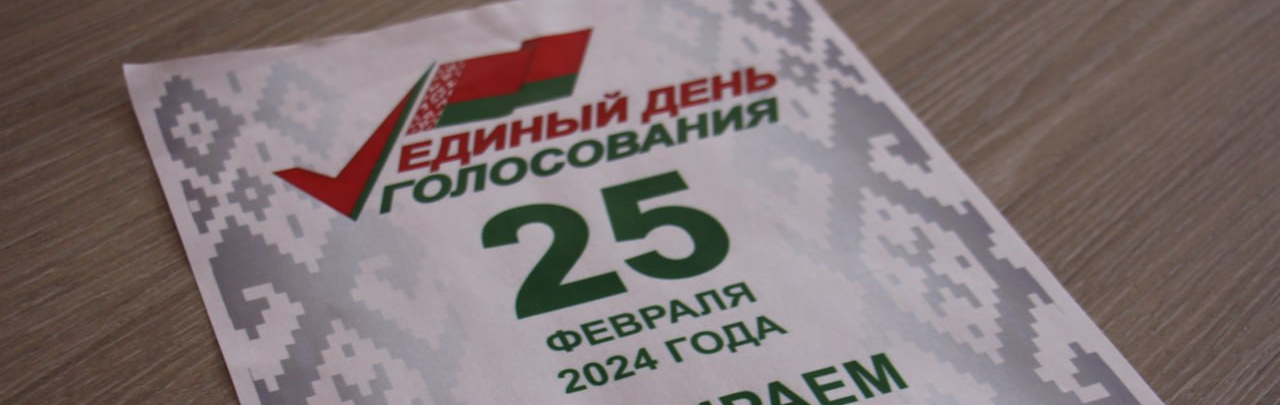 На Новогрудчине началось досрочное голосование на выборах депутатов