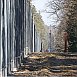 Забор в Беловежской пуще: Беларусь заявила о нарушении Польшей положений конвенции ЮНЕСКО