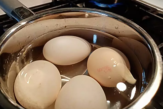 Почему никогда не стоит выливать воду, в которой варились яйца: полезное применение жидкости