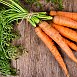 Как сохранить морковь на зиму до весны, чтобы ни один корнеплод не испортился