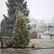 В Новогрудке первый снег!