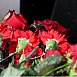 Александр Лукашенко возложил цветы к братской могиле погибших в годы войны