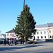 На центральной площади Новогрудка начали устанавливать новогоднюю елку 