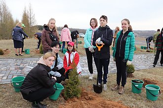 Новогрудчан приглашают принять участие в акции «Дерево героя» 