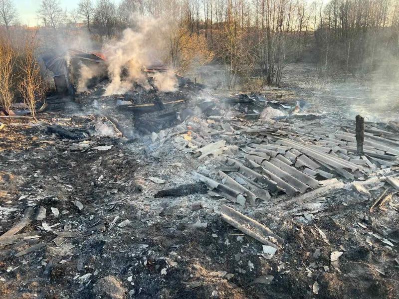 Причина пожара в деревне Заполье – непотушенный окурок, брошенный в собранную сухую растительность
