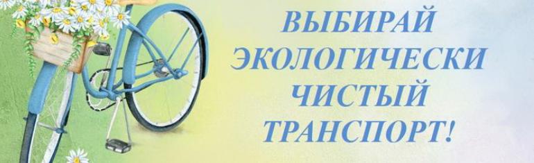 Всемирный день без автомобиля. Новогрудчане выберут общественный транспорт или велосипед?
