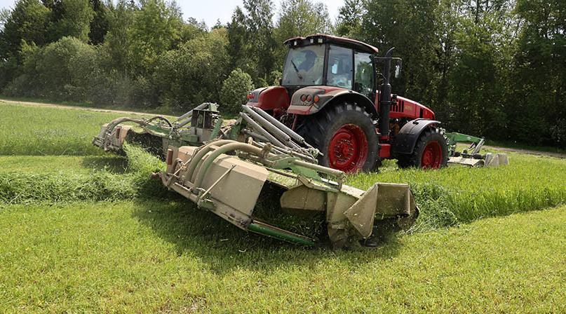 В Беларуси травы скошены на 479,9 тыс. га площадей