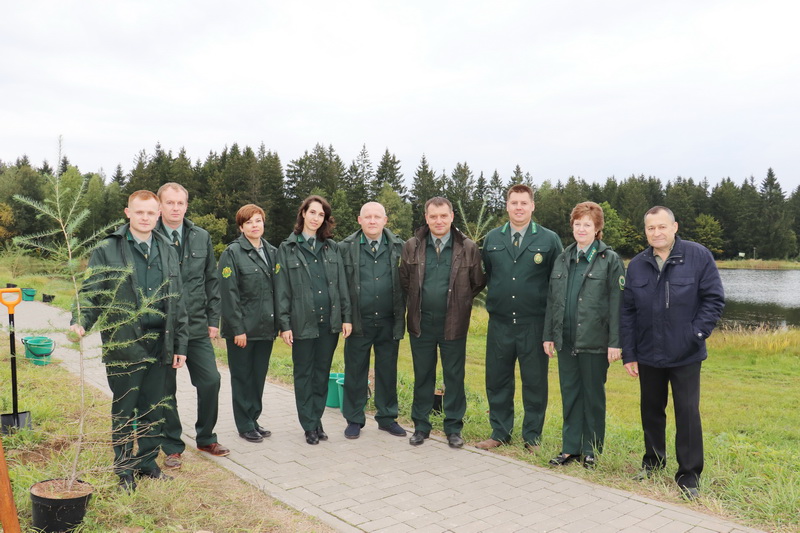 У работников Новогрудского лесхоза почетная миссия – лес выращивать