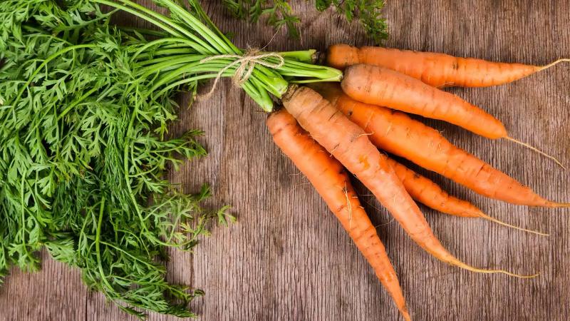 Как сохранить морковь на зиму до весны, чтобы ни один корнеплод неиспортился