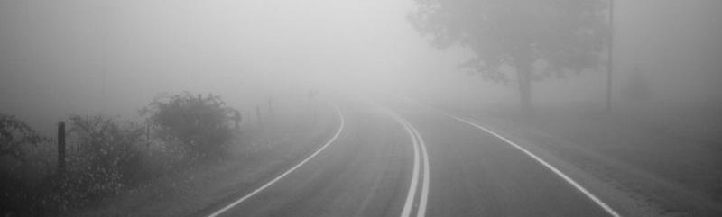 ГАИ предупреждает водителей: на дорогах туман
