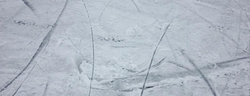 Новогрудская районная организация ОСВОД предупреждает: «Лёд – опасен!»