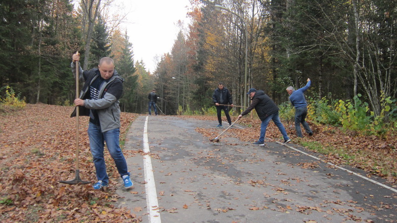 Около 3 га лесных угодий убрали сотрудники Новогрудского районного отдела Следственного комитета во время акции "Чистый лес"