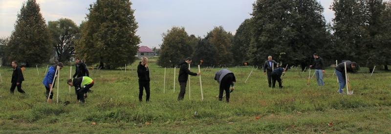 В озеленении Новогрудчины активное участие принимает молодежь