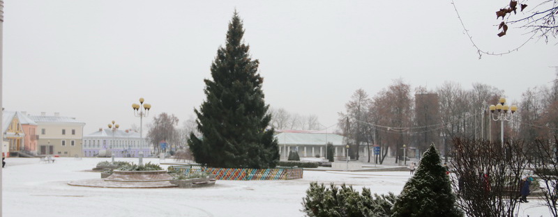 На площади в Новогрудке установили новогоднюю елку