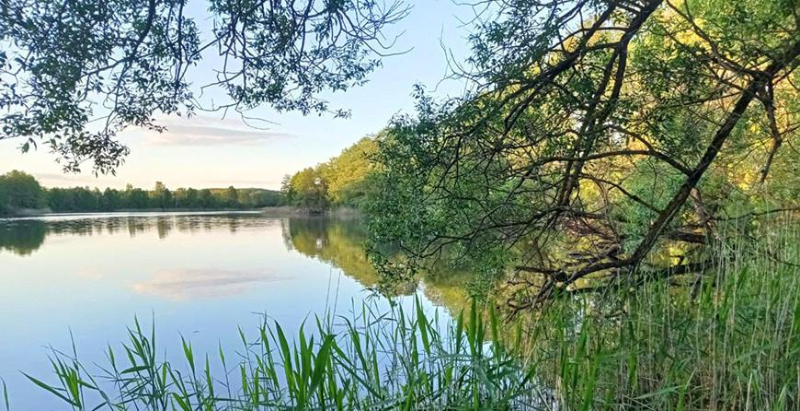 С начала года на водоемах Гродненской области погибли 15 человек