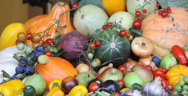 Овощи в хозяйствах Беларуси убрали с 37% площадей