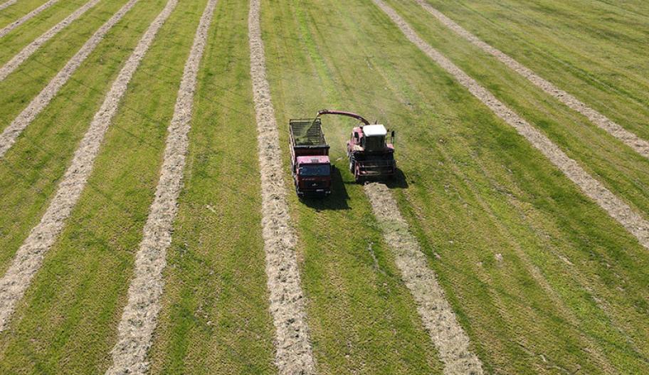 В Беларуси первый укос трав проведен почти на 48% площадей