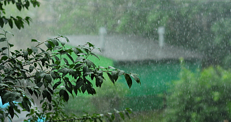На этой неделе в Новогрудке до +27°С, небольшой дождь