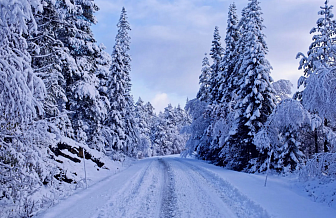 В Новогрудке на этой неделе от -2..до +2°С, небольшой снег