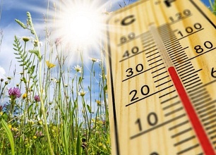 Осторожно, лето: простые советы для новогрудчан, которые помогут пережить аномальную жару без вреда для здоровья 