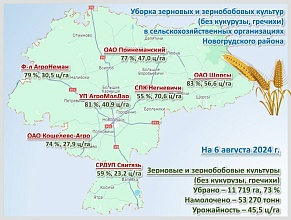 На утро 6 августа в Новогрудском районе всего собрано 67,4 тысячи тонн зерна с учетом рапса