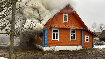 На пожаре в Новогрудском районе погиб человек
