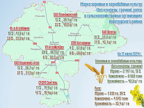 На утро 17 июля в Новогрудском районе убрано 13 % площадей зерновых и зернобобовых культур