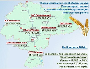 На утро 8 августа всего собрано 71,9 тысячи тонн зерна с учетом рапса