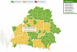 Ограничения на посещение лесов введены в 43 районах Беларуси, в том числе Новогрудском