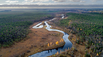 Природная сокровищница Беларуси. К 100 - летию Березинского биосферного заповедника