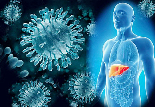 Санэпидслужба Новогрудчины напоминает о мерах профилактики вирусного гепатита А, который поражает печень