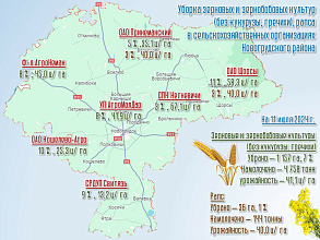 В Новогрудском районе на утро 11 июля убрано 7 % площадей зерновых и зернобобовых культур 
