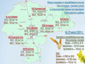 На 24 июля в Новогрудском районе собрано всего 38397 тонн зерна с учетом рапса