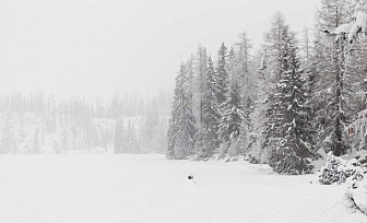 Небольшой снег и до -13°С прогнозируется в Беларуси 15 февраля