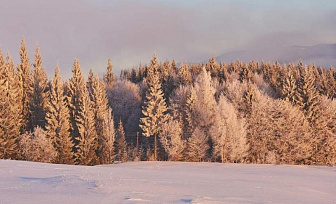 Кратковременный снег и до -17°С. Какая погода будет в Беларуси 18 февраля