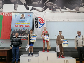 Новогрудчане достойно выступили в открытом первенстве по борьбе греко-римской в Минске