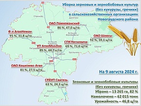 На утро 9 августа всего собрано 76,2 тысячи тонн зерна с учетом рапса