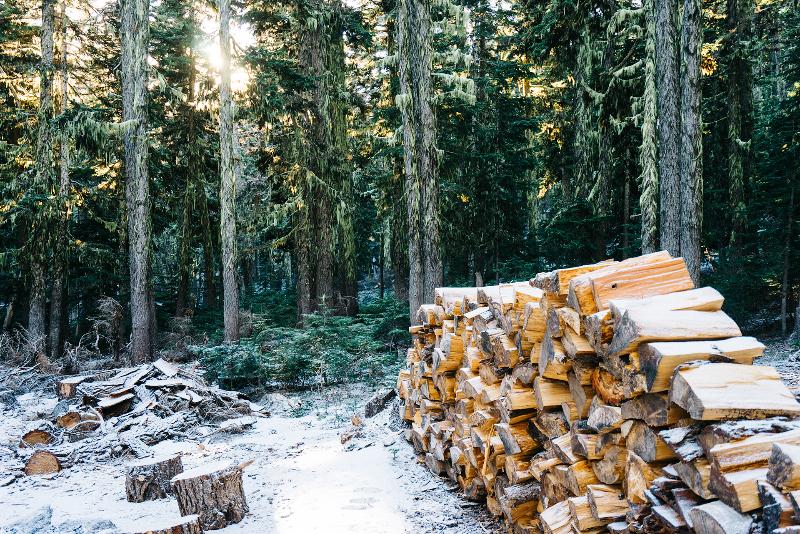 Минлесхоз предлагает упростить порядок реализации населению деловой древесины и дров