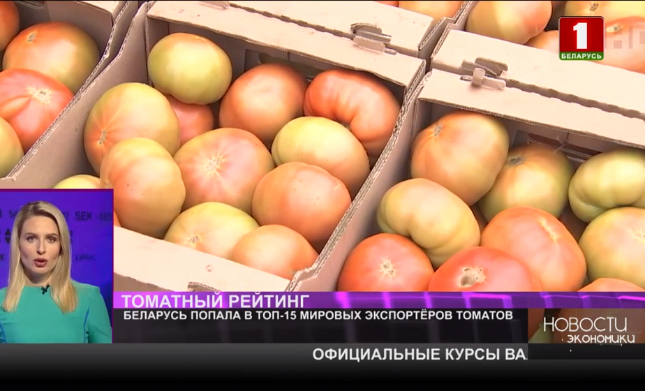 Беларусь попала в топ-15 мировых экспортеров томатов