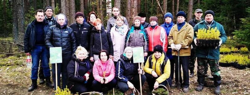 Новогрудский лесхоз приглашает принять участие в добровольной акции «Неделя леса-2021»