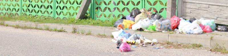 Грязный «сюрприз» для соседей.  Почему мусор появляется на улицах города?