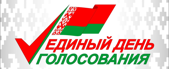 Голосуем за  сильную Беларусь! Новогрудчане принимают активное участие в едином дне голосования