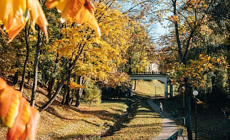 Без осадков и до +18°С. Какой будет погода в Беларуси 8 октября