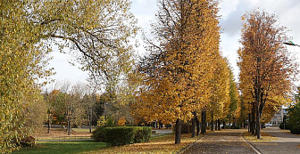 Облачная и дождливая погода ожидается в Беларуси 18 октября