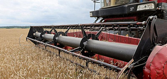 Свыше 10,2 млн тонн зерна с учетом рапса и кукурузы намолотили в Беларуси