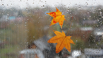 Оранжевый уровень опасности из-за дождей объявлен в Беларуси на 25 октября