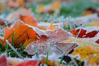 Туман и до -5°С прогнозируют синоптики 21 октября